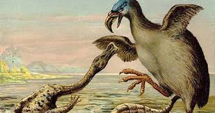 Phorusrhacidae ตระกูลนกสุดโหด